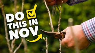 Garden Checklist: 10 Tasks You Need To Do In Late Autumn by GrowVeg 93,893 views 6 months ago 11 minutes, 30 seconds