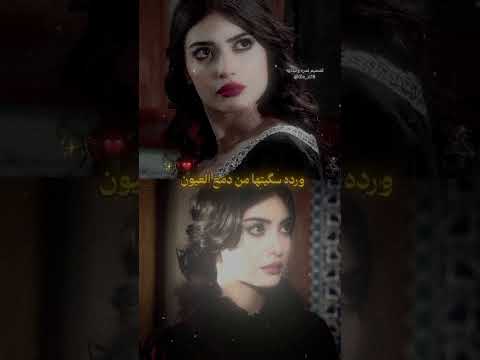 ورده سقيتها من دمع العيون مقبره الاحياء نمره واتباديه روايات عراقيه واقعيه  واتباد 