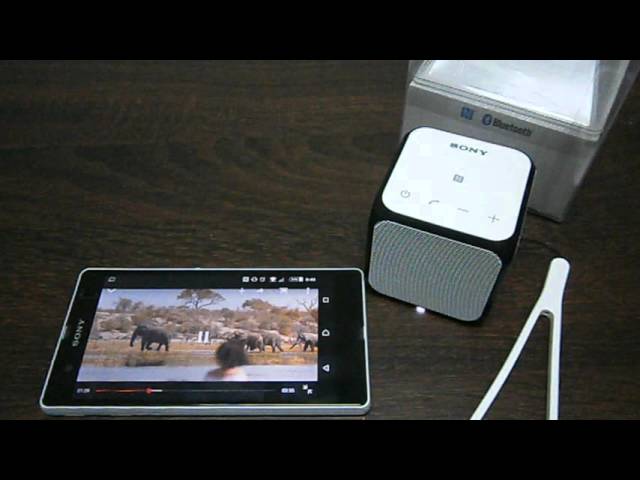 Sony SRS-X11 Bluetooth Speaker Test