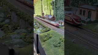 Vt11 Tee moba tee vt11 trainspotting mrklin modeltrains spurh0 train railway railroad db