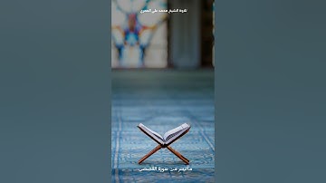 ماتيسر من سورة القصص...... تلاوة الشيخ محمد علي العمري