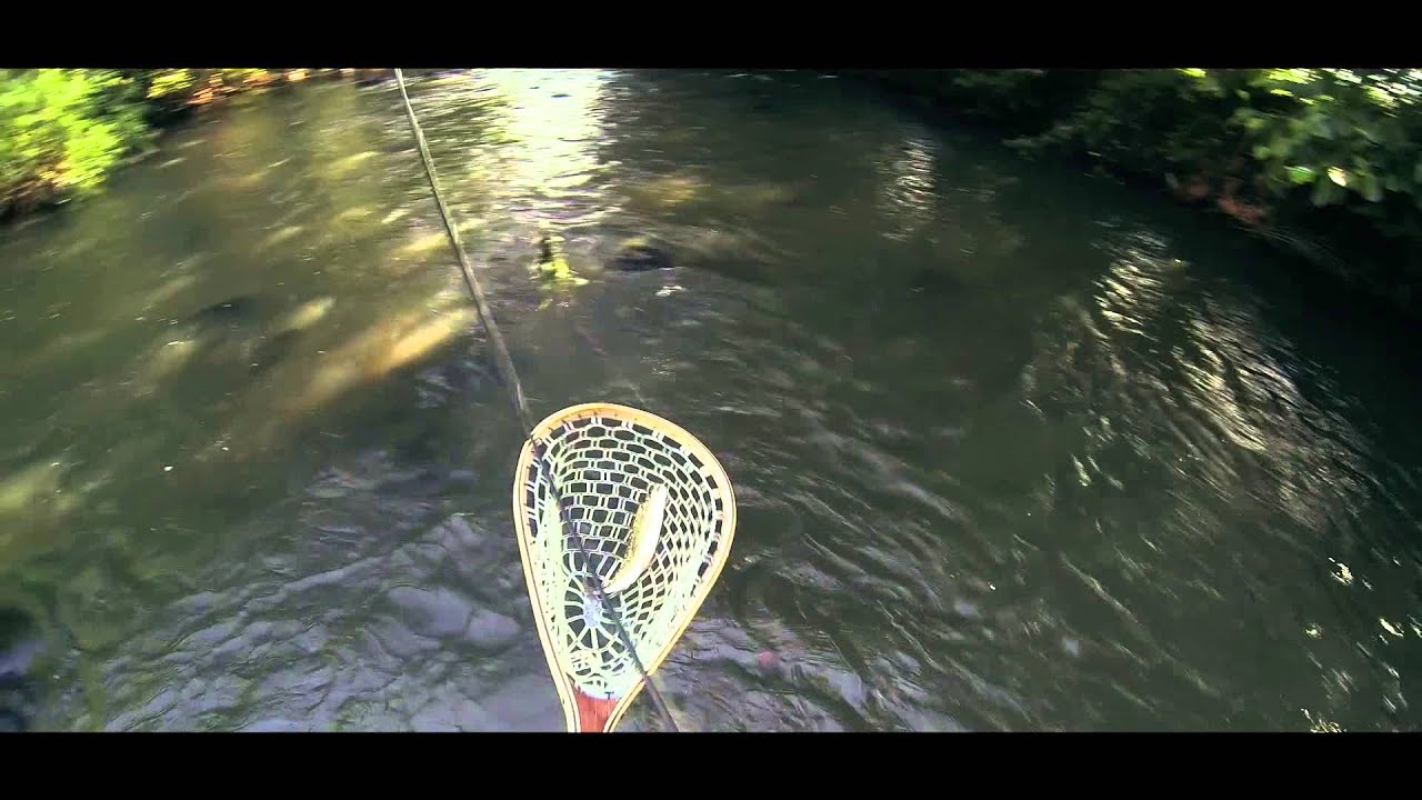 Tarnava Mare - Subcetate