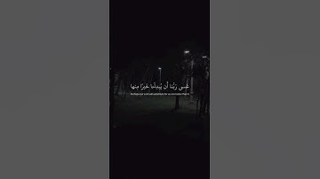 عسَى رَبُّنَا أَن يُبْدِلَنا خَيْرًا مِنها إِنَّا إِلى رَبِّنا راغبونَ سورة القلم بصوت ماهر المعيقلي