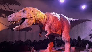 🦖 Unbelievable T. Rex Dinosaur Animatronic in Natural History Museum, London! 🔥