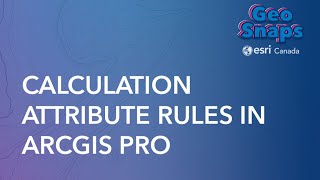 Calculation Attribute Rules In Arcgis Pro