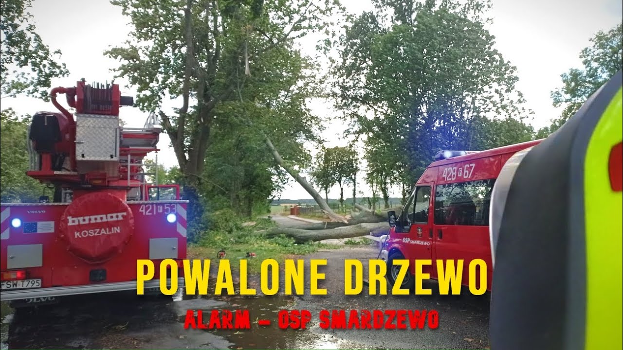 ALARM - OSP Smardzewo | #10 | Powalone drzewo na drogę
