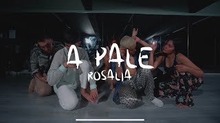 A Palé Ía Dance Video Choreography By 