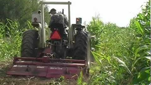 Reality Deer Management Ep. 3-Food Plots