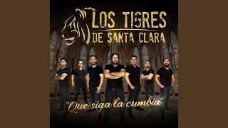 Video thumbnail of "Tigres De Santa Clara - Viuda Negra"