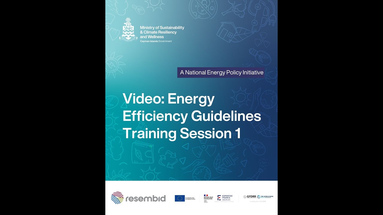 Energy Efficiency Guidelines Training: Energy Efficiency Standards and Labels for ACs and Appliances