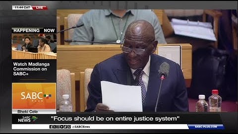 Ad Hoc Committee | Bheki Cele gives his take on Mchunu