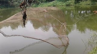 Kheu Fishing Through Nets.