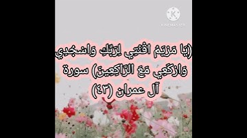 (يا مريم اقنتي لربكِ واسجدي واركعي مع الراكعين)🌹قرآن كريم راحة نفسية💖💕