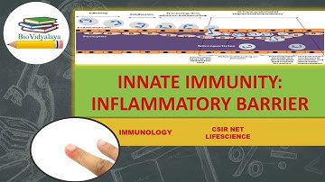 INFLAMMATION | INFLAMMATORY BARRIER | INNATE IMMUNITY | CSIR NET- In English