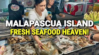 FRESH SEAFOOD HEAVEN in CEBU! Malapascua Island Street Food in Cebu, Philippines! 🇵🇭 