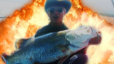 Cá Chẽm Siêu To Khổng Lồ Ngoài Biển Vũng Tàu | Dân Chơi Đi Câu