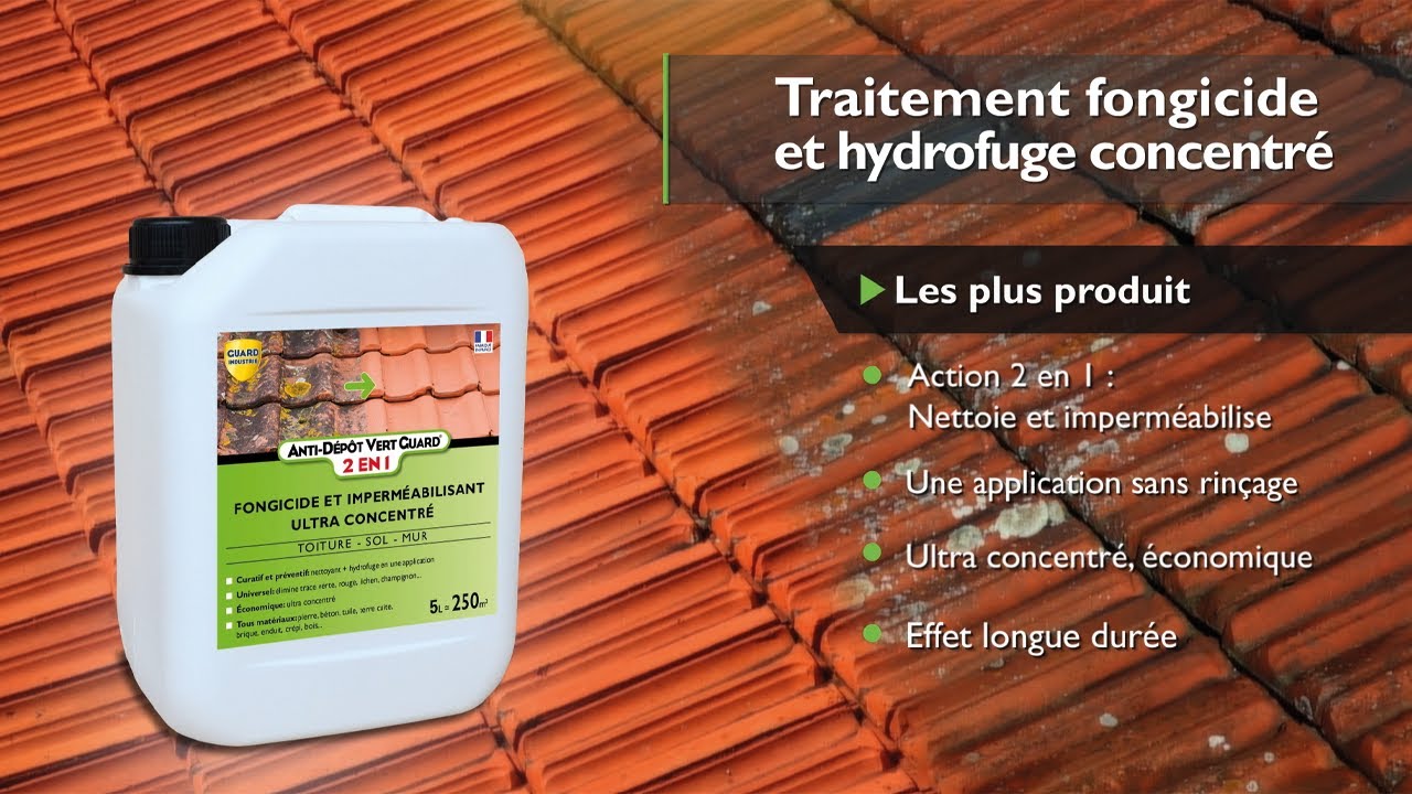 Bostik Anti Dépôts Verts 30 Tablettes - Traitement Anti Mousses Algues Lichens