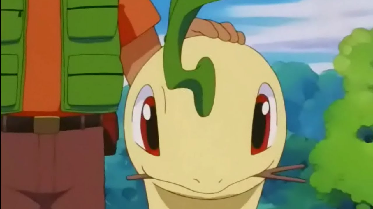 turning over a new bayleef but only the word bayleef youtube