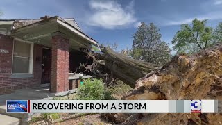 Family gets help after tree falls on home during storm