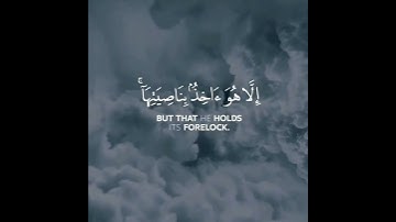 القارئ الشيخ / مشاري فالح #quran #اللهم_ارحم_موتانا 🤲🏻💛