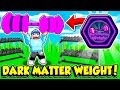 I Bought The DARK MATTER WEIGHT And BECAME THE STRONGEST PLAYER!!