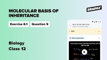 List two essential roles of ribosome during translation., Class 12, Biology, Ex. 6.1, Q.9