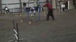 Tire crash