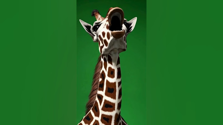 WAIT FOR THE LAST ONE | | #ai #aiart #aivideo #animals #animal #animeshorts