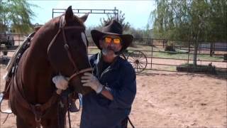 Rope Gate Arena Obstacle