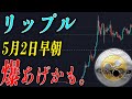 【緊急】リップルにとんでもない情報が入りました！
