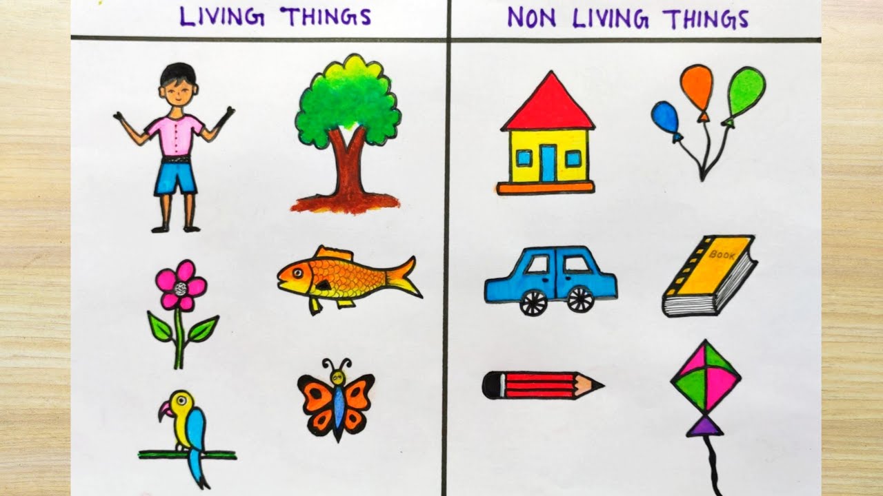 How to draw living and non-living things| Living things drawing ...