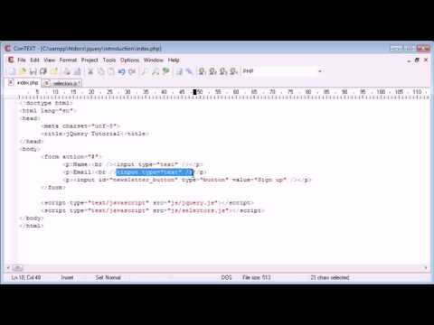 jQuery Tutorial   25   Basic form field selection