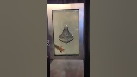 Lumid Video Verre - HD transparent video screen