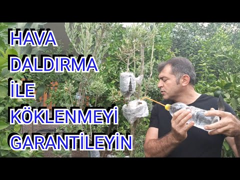 Video: Alüminyum Folyo Bahçecilik – Bahçede Alüminyum Folyo Kullanımı