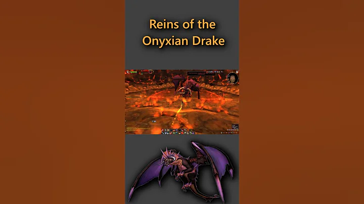 How To Get Reins of the Onyxian Drake Quick Guide #worldofwarcraft #wow #guide