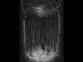 Paysage D'Hiver - Im Wald (2020) [FULL ALBUM]