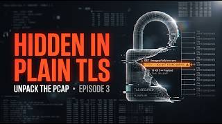 Perfect TLS, Valid Cert, and a 404: Unpacking the Waski Downloader screenshot 3