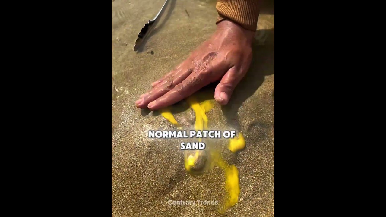 They Will Never Walk Barefoot On Sand Again 😭