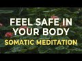 Feel Safe In Your Body Again Somatic Meditation For Nervous System Healing mp3