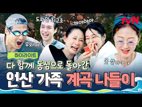 지옥 같았던 장어 조업 끝내고💥 다 같이 피로 날리러 계곡으로 DIVE한 언니네✨ #highlight #언니네산지직송3 EP.8