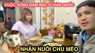 #223 Nhận Nuôi Chú Mèo Của 2 Em Du Học Sinh Cuộc Sống Đạm Bạc Ở Hàn Quốc