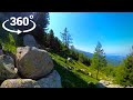 Валуны Relax - VR 360° 5K Video - Белый шум из дикого леса