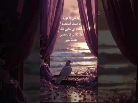 ي ا ح ي ي ا ق ي وم ب ر ح م ت ك أ س ت غيث