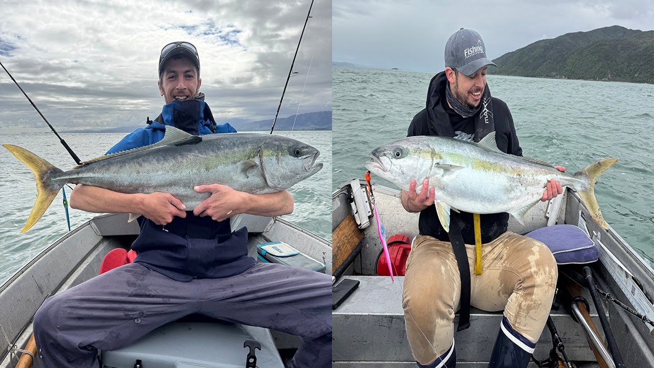 Хаос королевской рыбы на побережье Капити | Двойной крючок | 2025