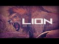 Hard trap instrumental 2017  lion seif takichi