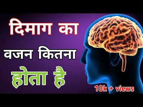 वीडियो: एक पुरुष का मस्तिष्क एक महिला के मस्तिष्क से कैसे भिन्न होता है?