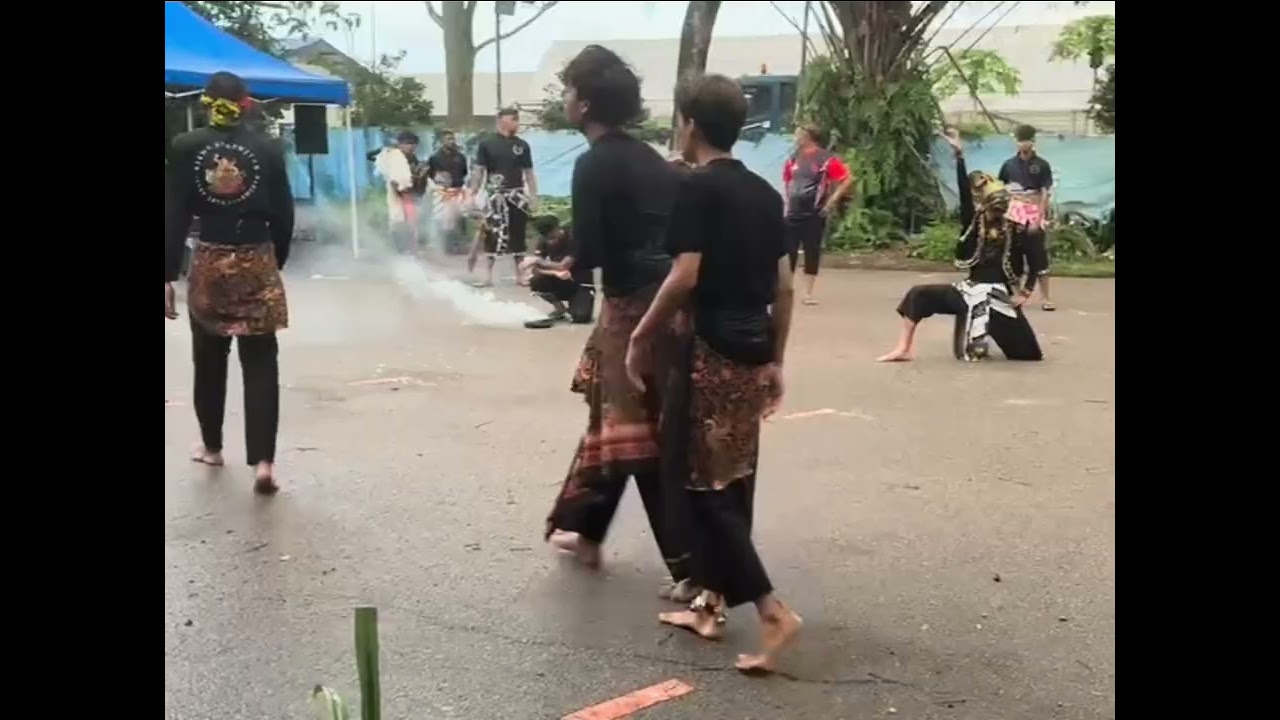 tembem hitam dan emas pulang