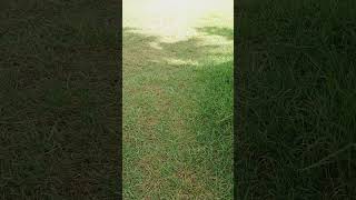 Achats - Ventes - Locations Agence Immobilière À Saidia Au Maroc Depuis 2006