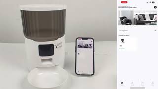 PE-B01 Pet Feeder connected Wi-Fi video(Please use 1080P and above resolution watch)
