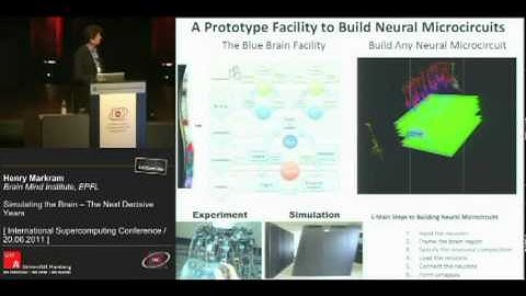 Our Future Henry Markram  Simulating the Brain — The Next Decisive Years 3 3   YouTube